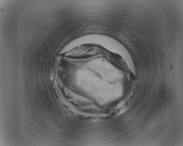 X0000068850382200605261711