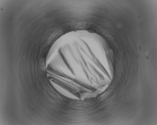 X0000068850384200605261712