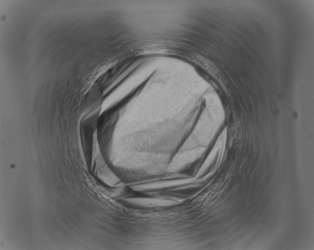 X0000068850385200605261711