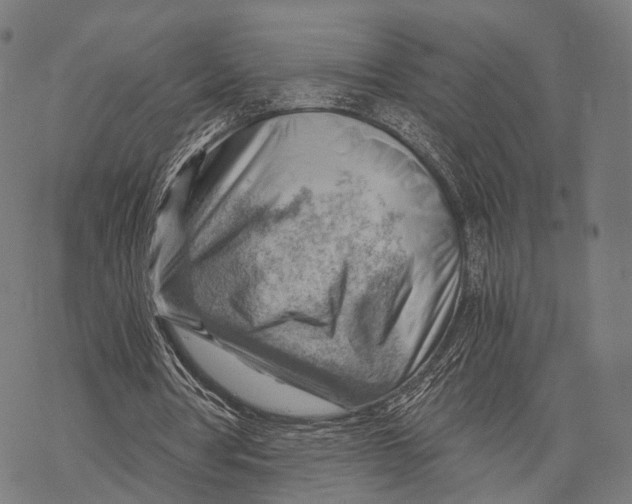 X0000068850386200605261711