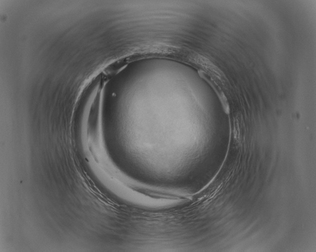 X0000068850388200605261711