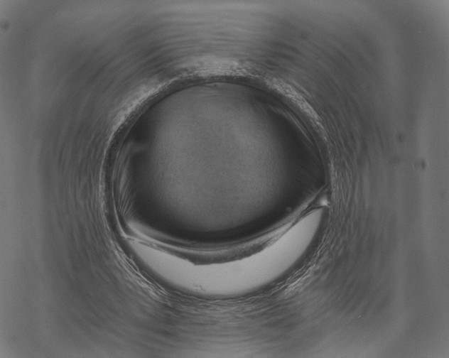 X0000068850391200605261711