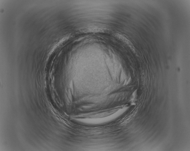 X0000068850395200605261711