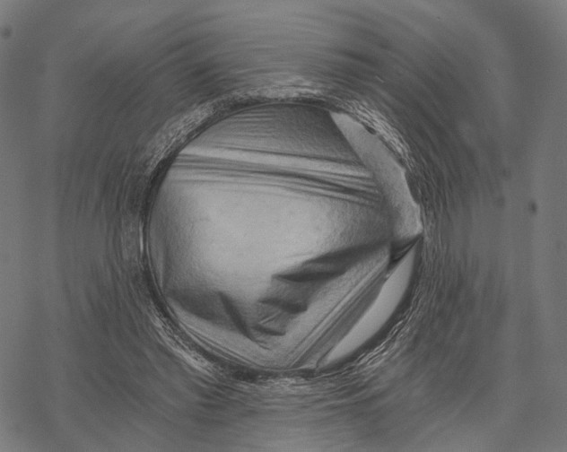 X0000068850397200605261711