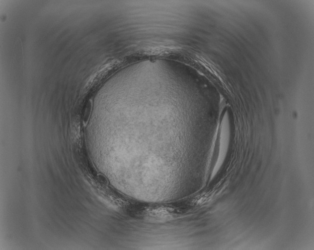 X0000068850407200605261710