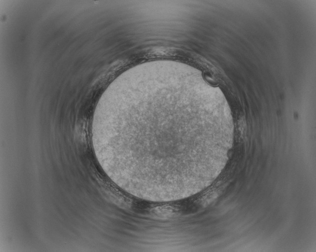 X0000068850423200605261710