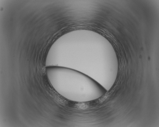 X0000068850425200605261710