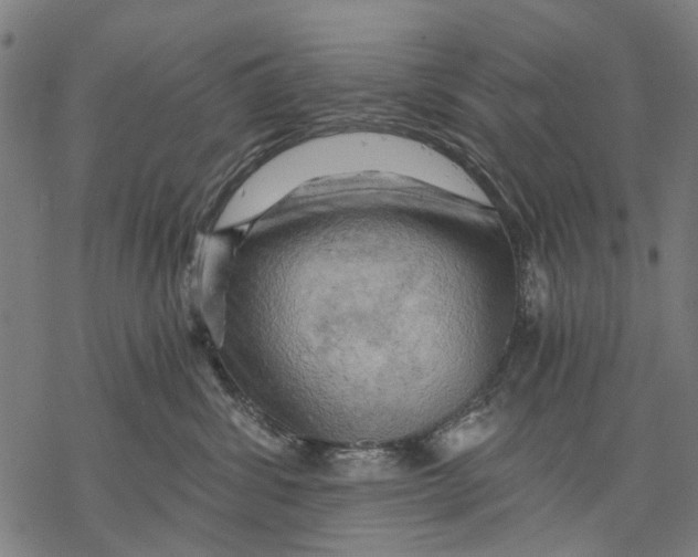 X0000068850428200605261710