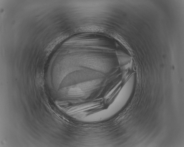 X0000068850434200605261709