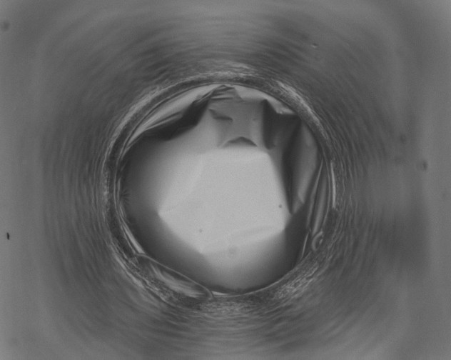 X0000068850435200605261709
