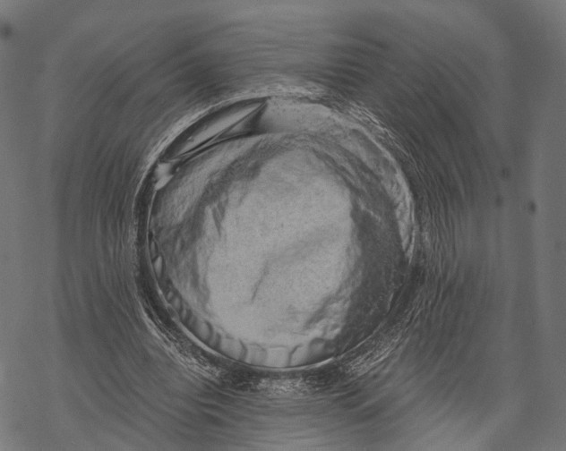 X0000068850440200605261709