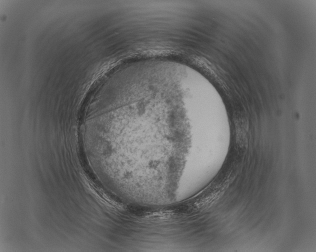 X0000068850447200605261709