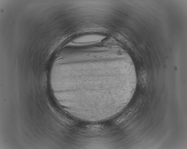 X0000068850448200605261709