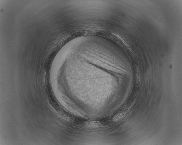 X0000068850451200605261709