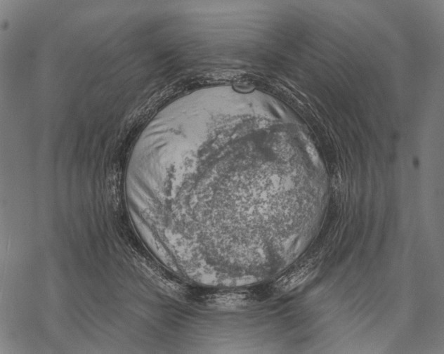 X0000068850462200605261710