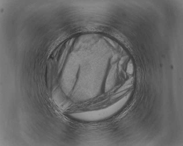 X0000068850481200605261709