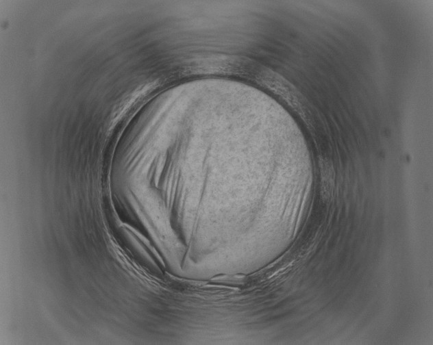 X0000068850482200605261709