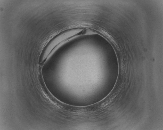 X0000068850485200605261709