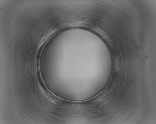 X0000068850486200605261709