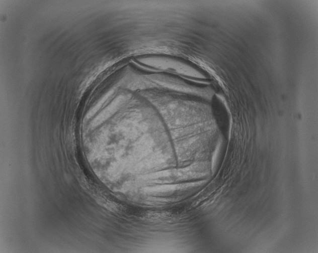 X0000068850487200605261709