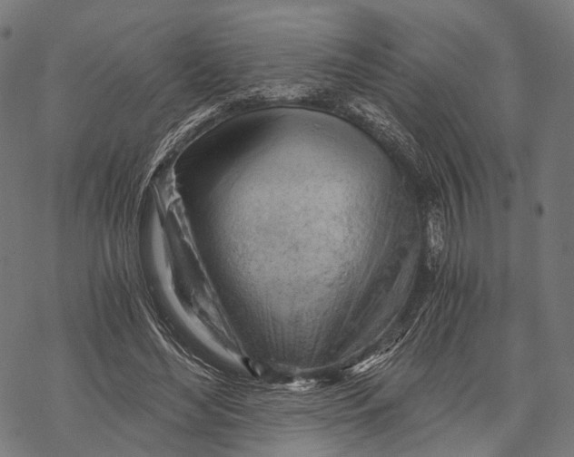 X0000068850492200605261709
