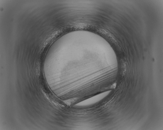X0000068850496200605261709
