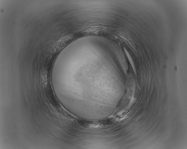 X0000068850504200605261709