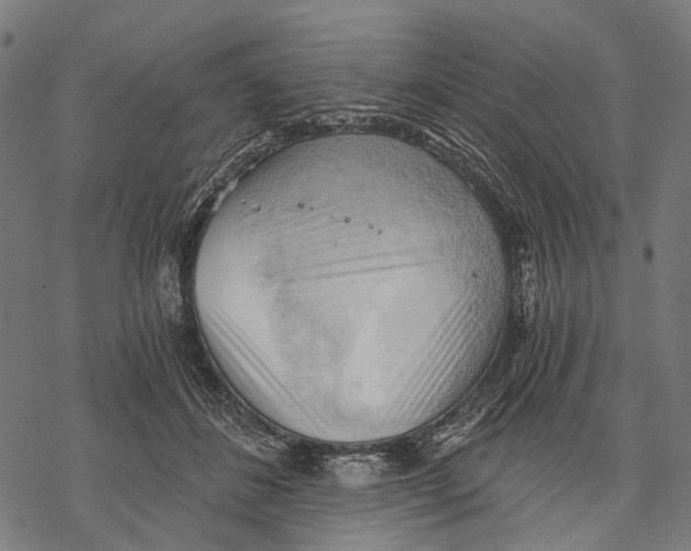 X0000068850508200605261709