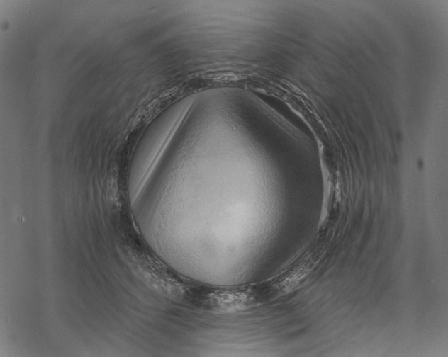 X0000068850512200605261709