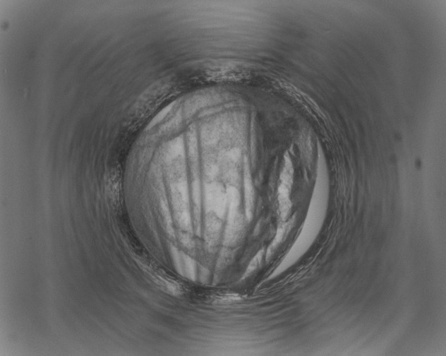 X0000068850513200605261709