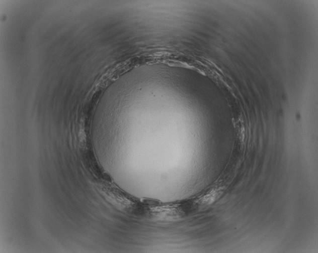 X0000068850516200605261709
