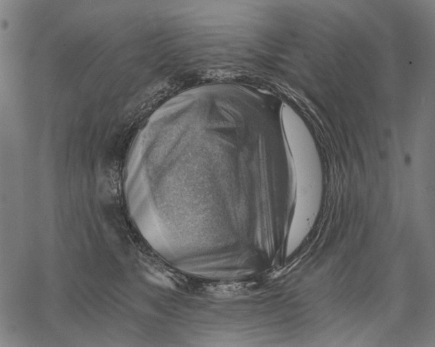 X0000068850517200605261709