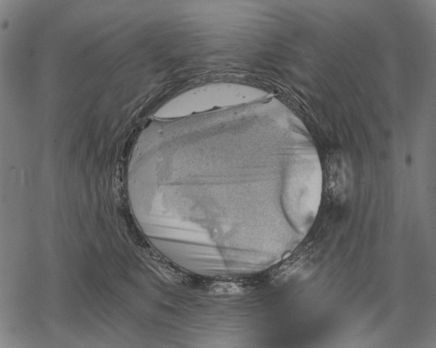 X0000068850519200605261709