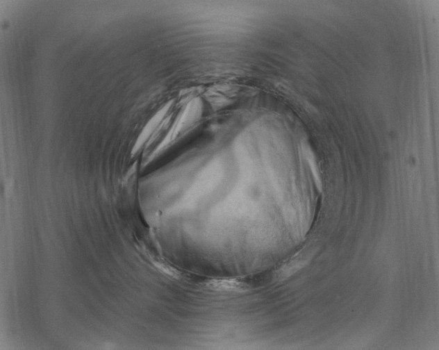 X0000068850528200605261708