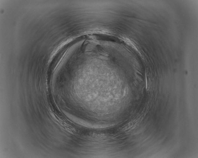 X0000068850531200605261708