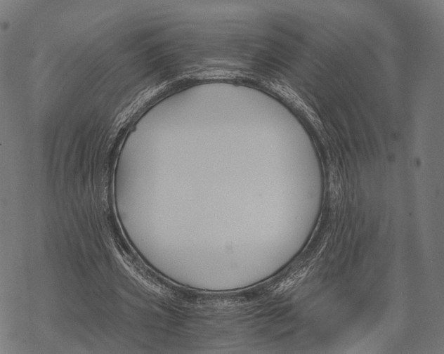 X0000068850533200605261708