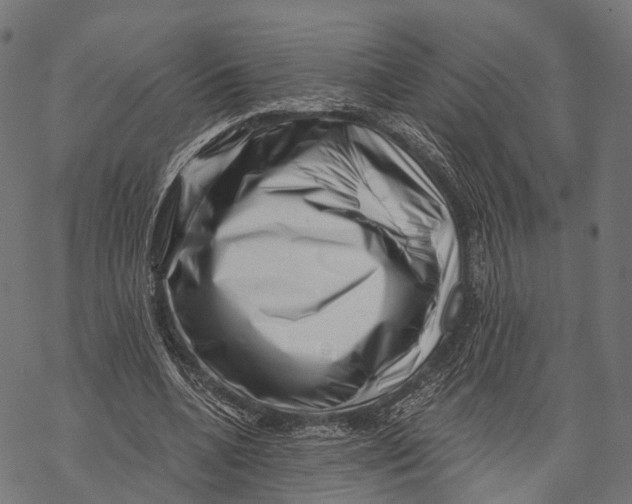 X0000068850536200605261708