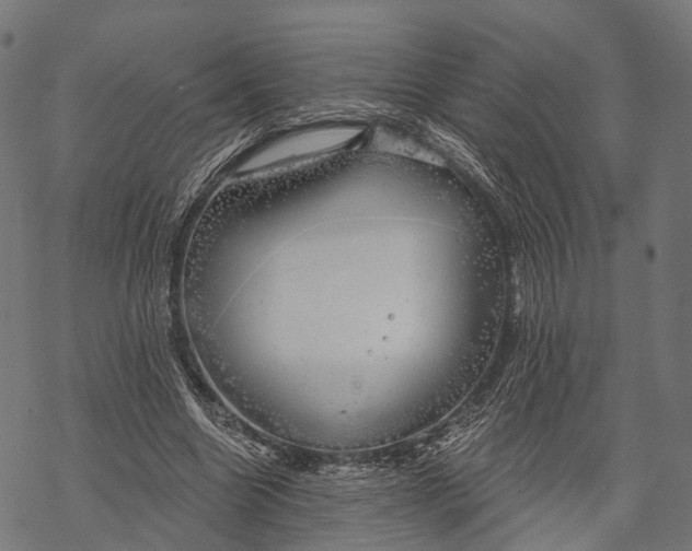 X0000068850538200605261708