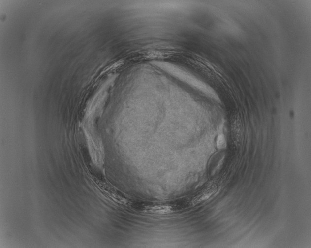X0000068850554200605261708