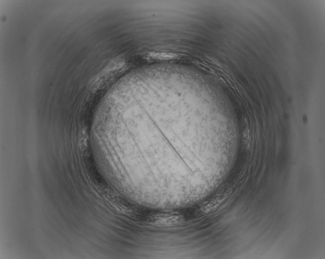 X0000068850555200605261708