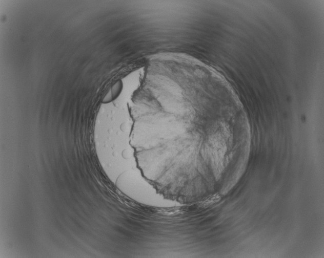 X0000068850569200605261708
