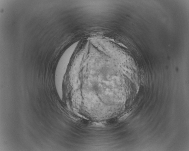 X0000068850573200605261708