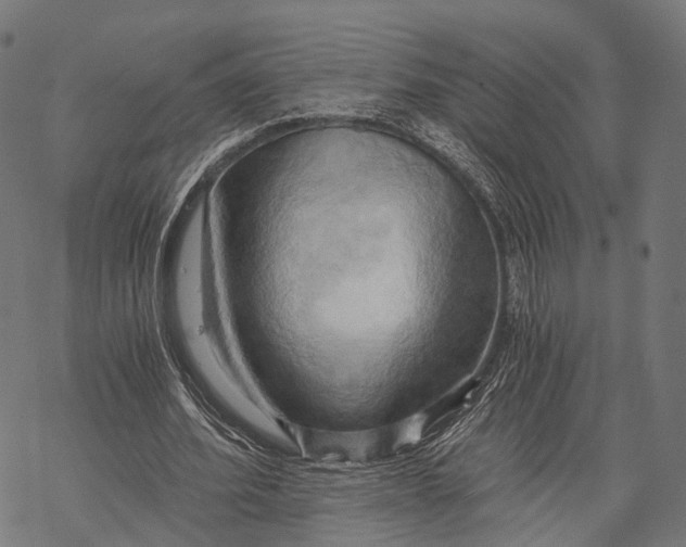 X0000068850580200605261707