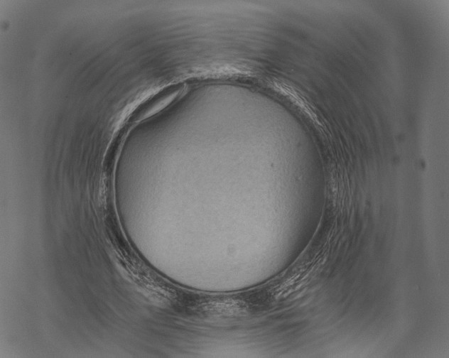 X0000068850583200605261707