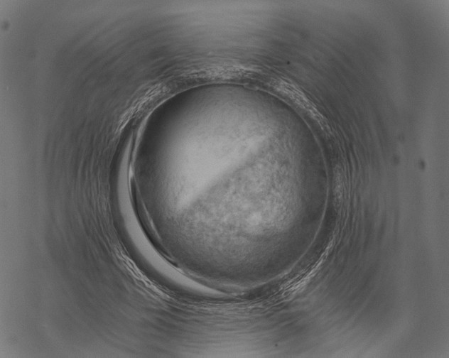 X0000068850585200605261707