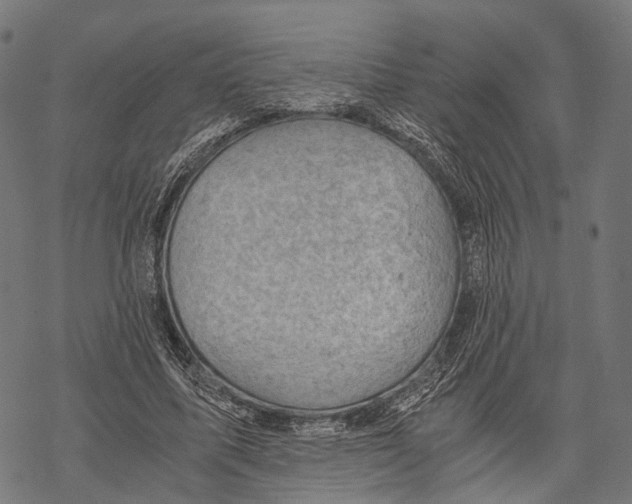 X0000068850587200605261707