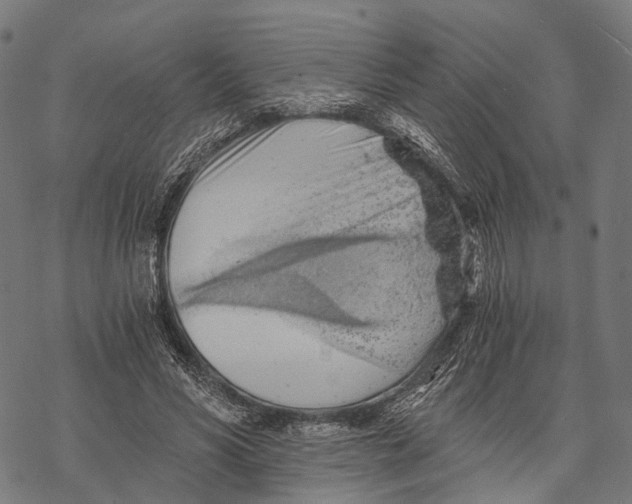 X0000068850590200605261707