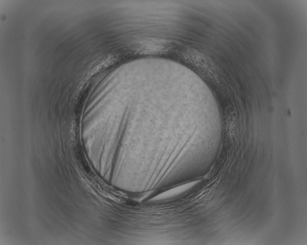 X0000068850591200605261707