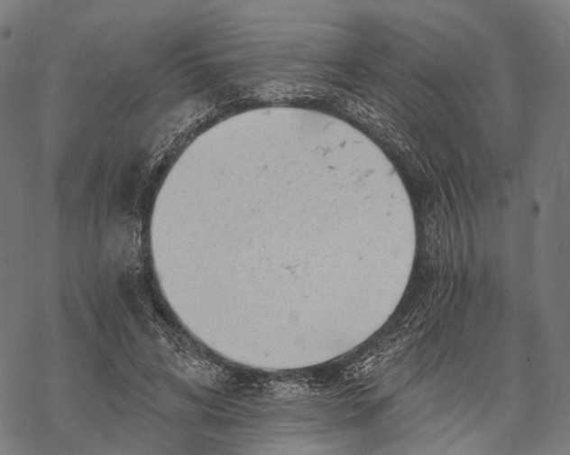 X0000068850592200605261707