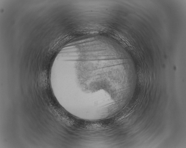 X0000068850594200605261707